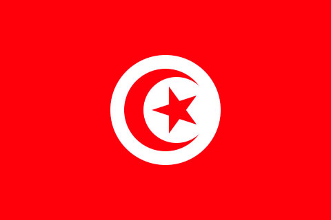 Tunisino